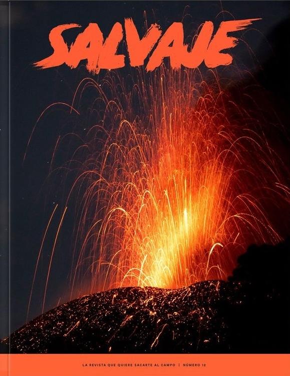 Revista Salvaje Nº12. Revista Salvaje Nº12.