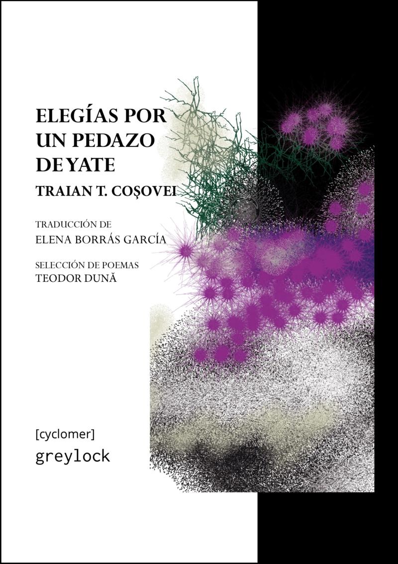 Elegías por un Pedazo de Yate. 