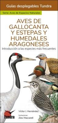 Aves de Gallocanta y Estepas y Humedales Aragoneses. 