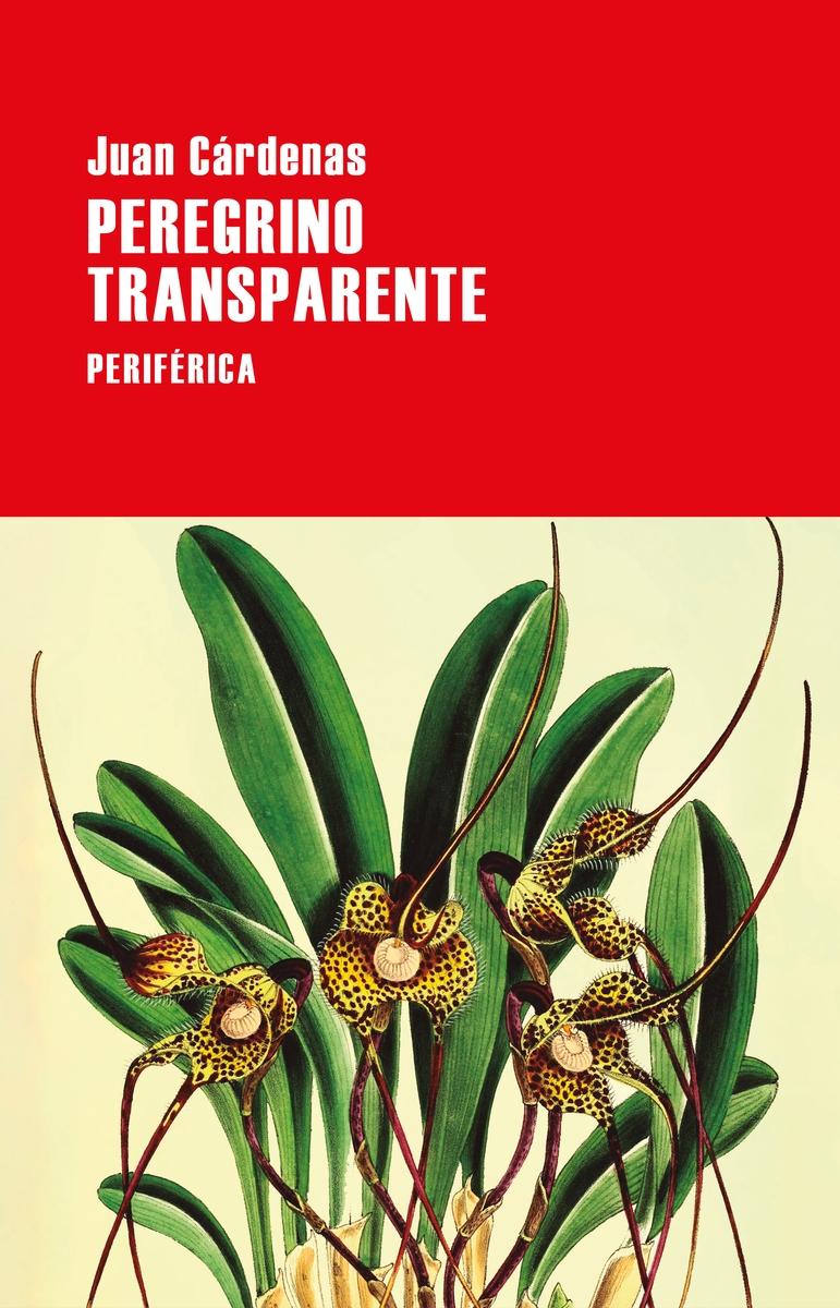 Peregrino Transparente