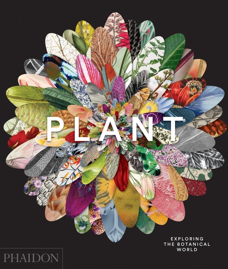 Plant: Exploring The Botanical World. 