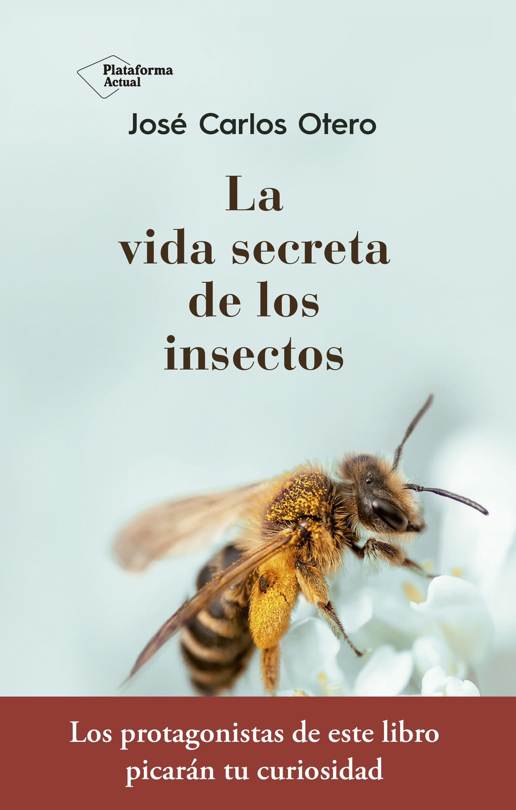 La Vida Secreta de los Insectos