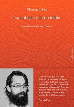 Las Abejas y lo Invisible