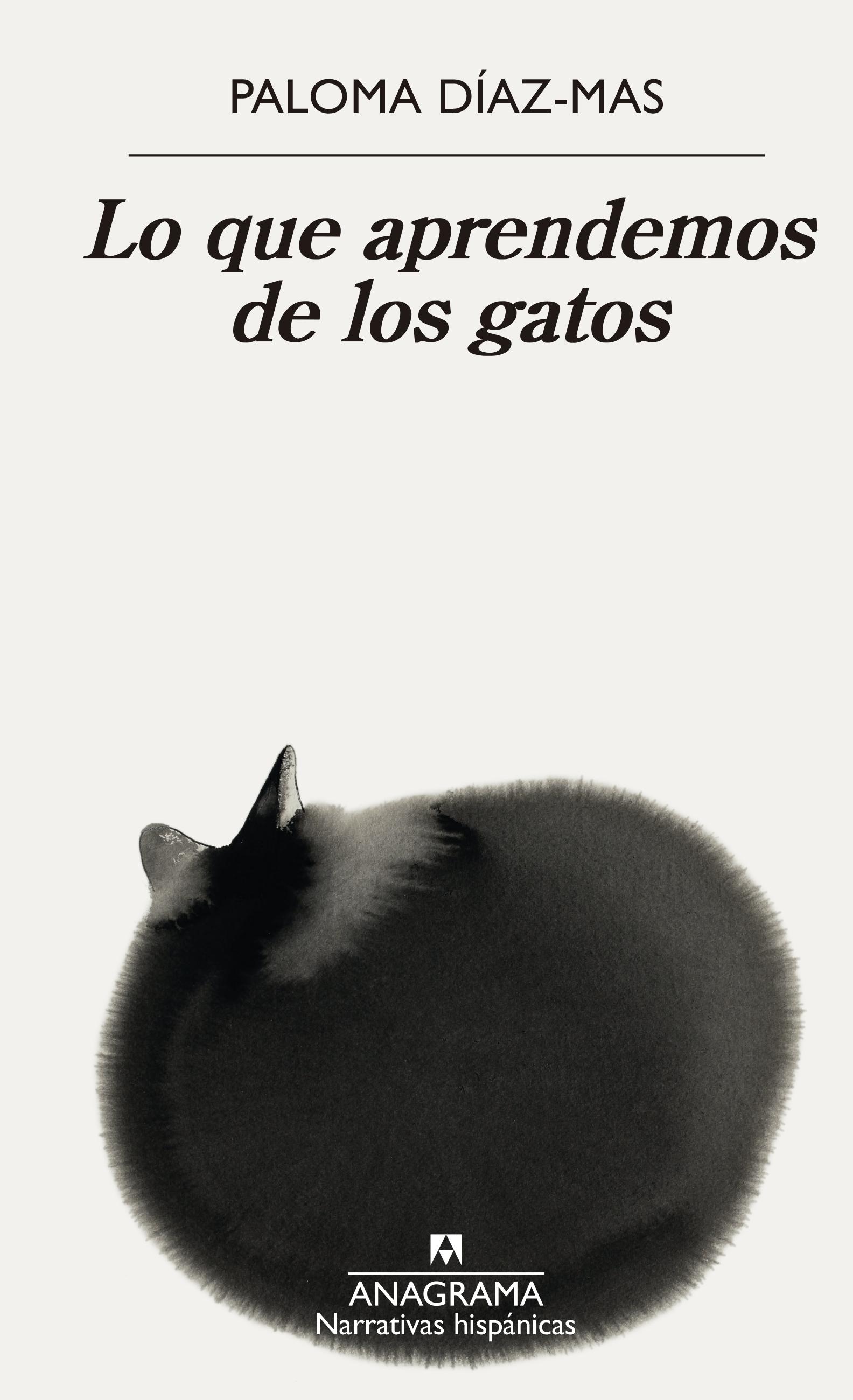 Lo que Aprendemos de los Gatos