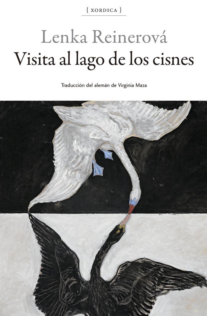 Visita al Lago de los Cisnes