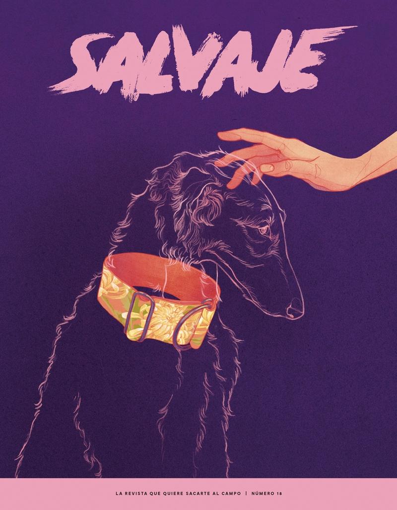 Revista Salvaje 18. 