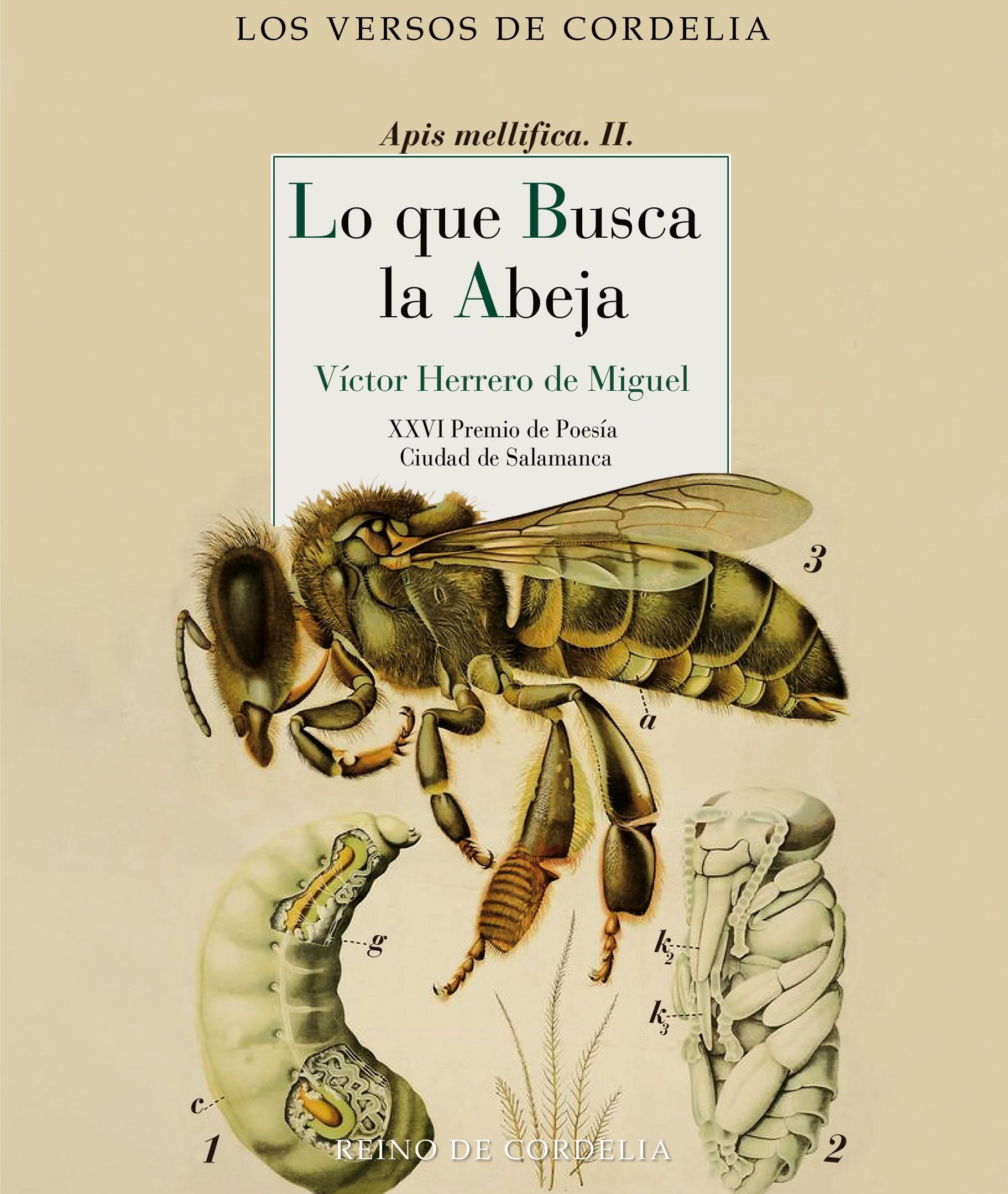 Lo que Busca la Abeja "Xxvi Premio de Poesía Ciudad de Salamanca". 