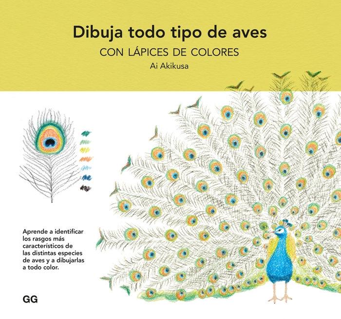 Dibuja Todo Tipo de Aves con Lápices de Colores