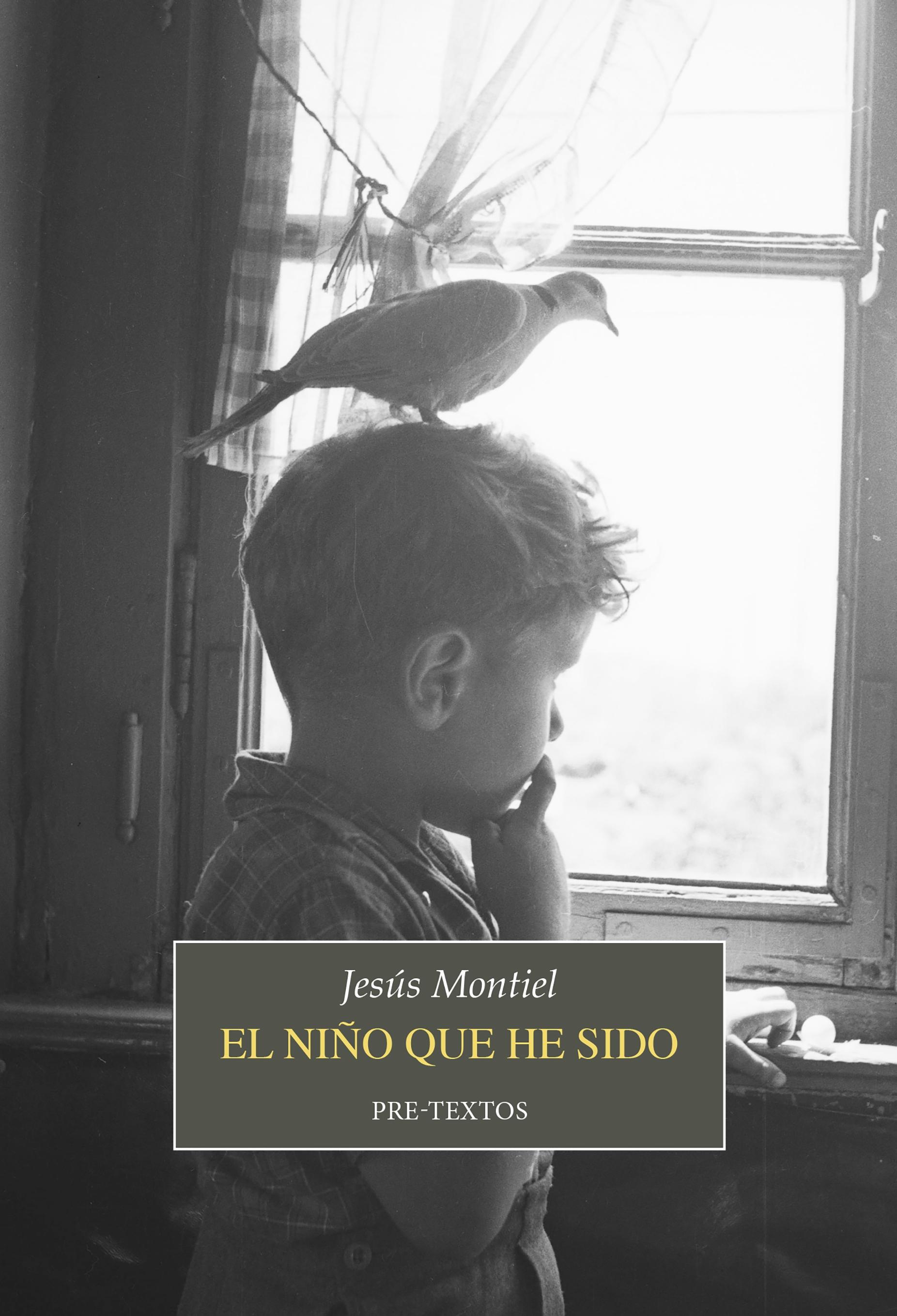 El Niño que He Sido 