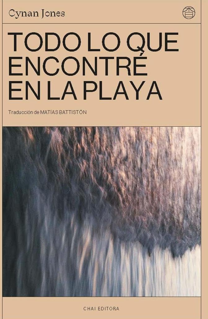Todo lo que Encontré en la Playa