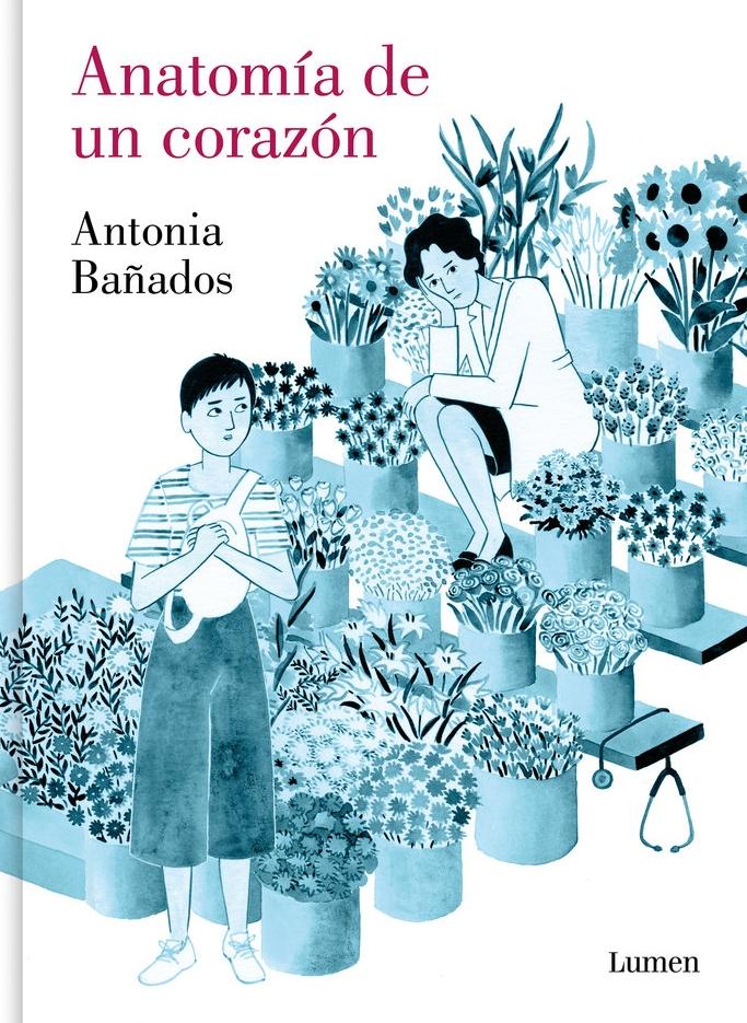 Anatomía de un Corazón 