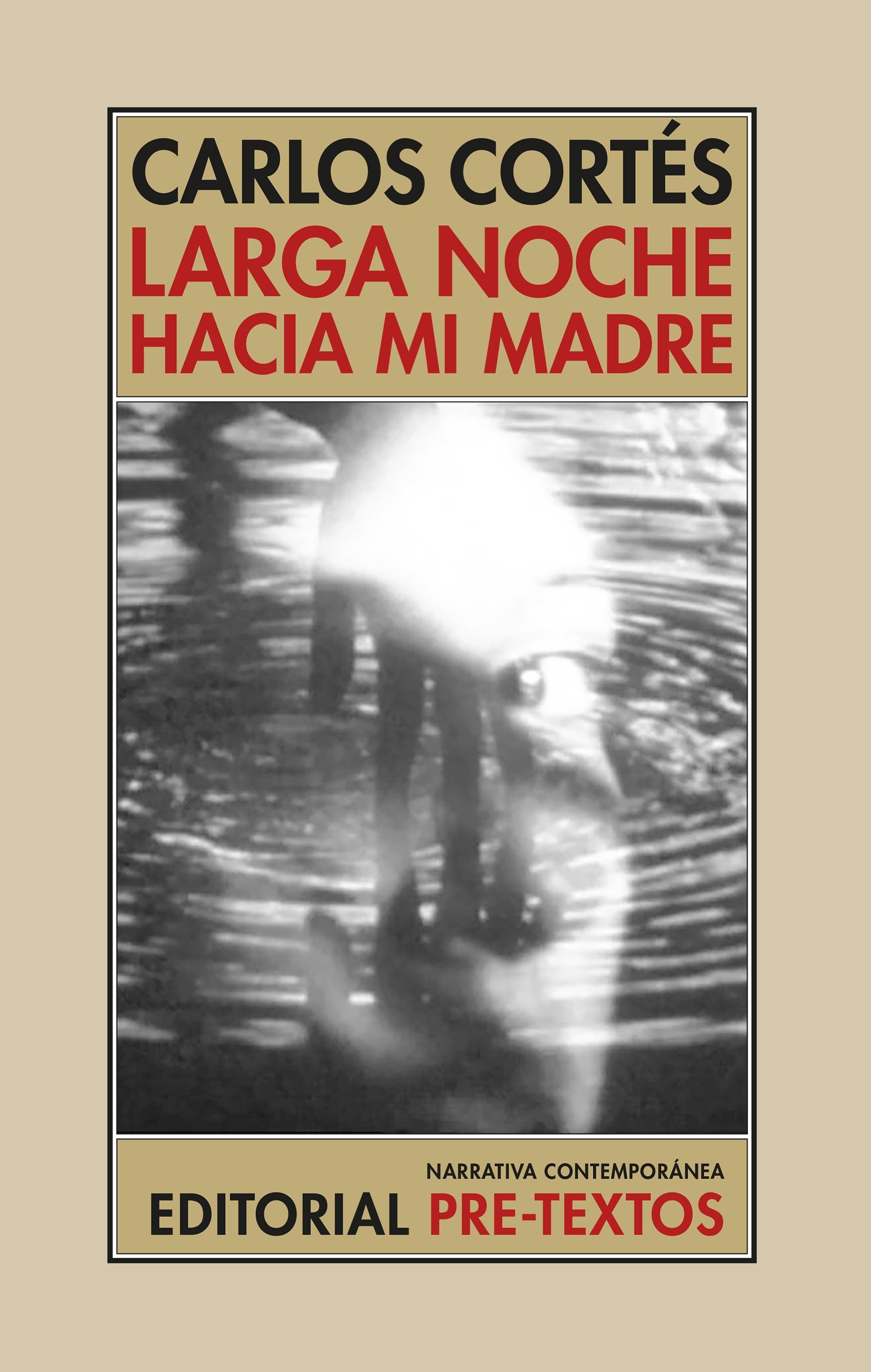 Larga Noche hacia mi Madre