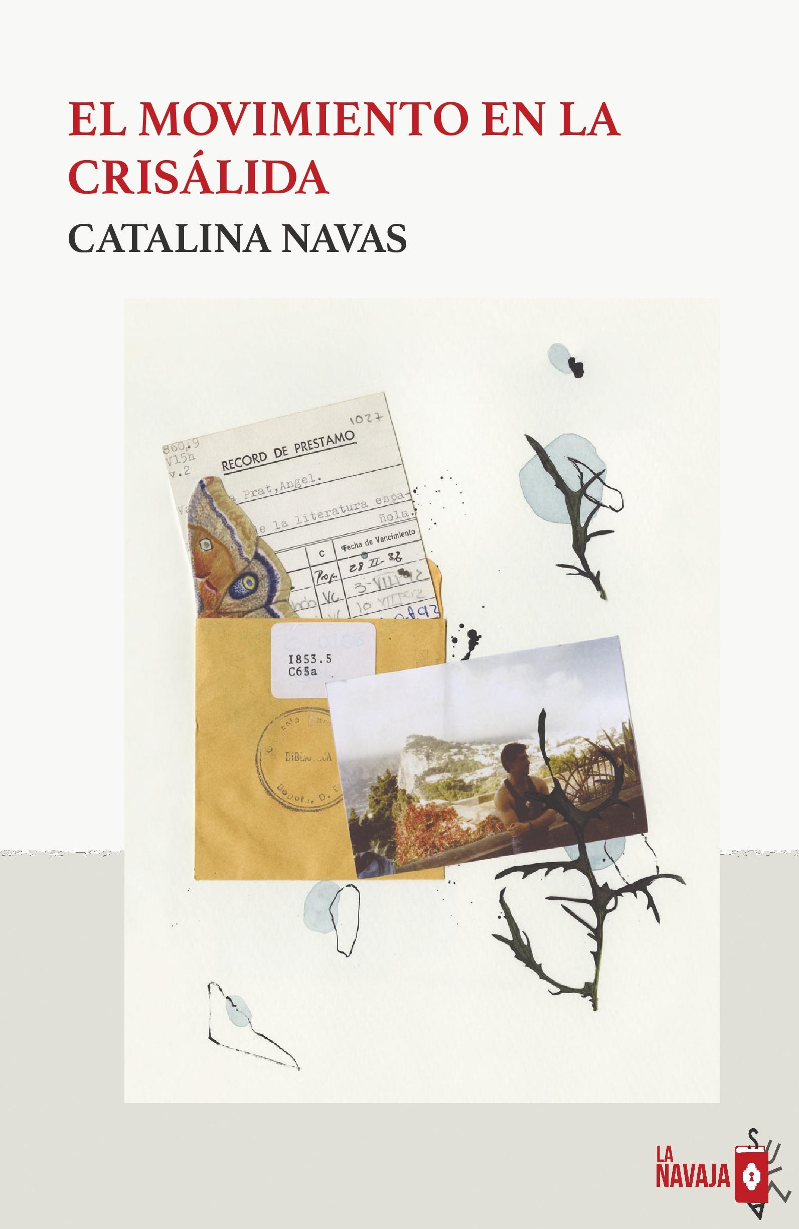 El Movimiento en la Crisálida