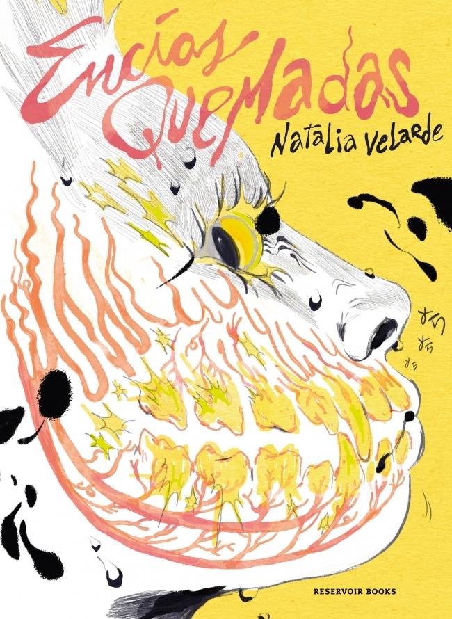 Encías quemadas. Encías quemadas.