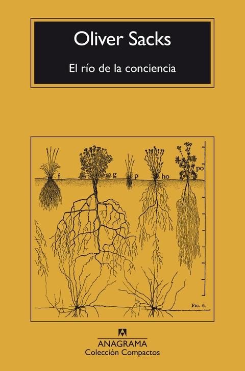 El río de la conciencia . El río de la conciencia .