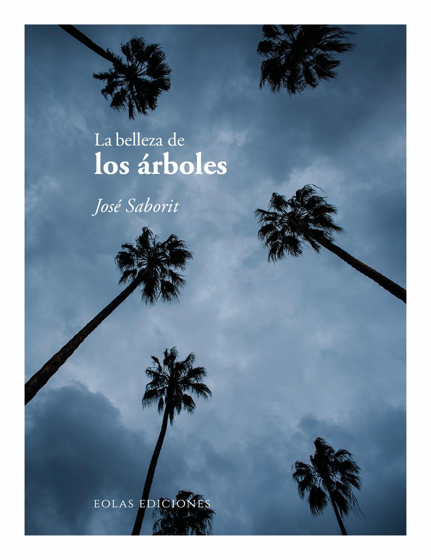 La belleza de los árboles. La belleza de los árboles.