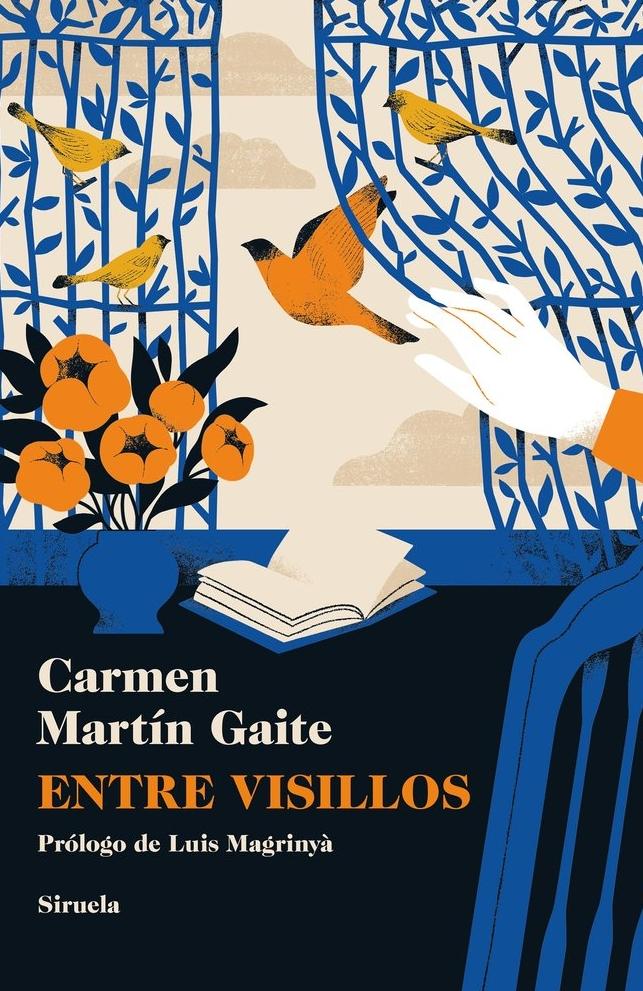 Entre Visillos