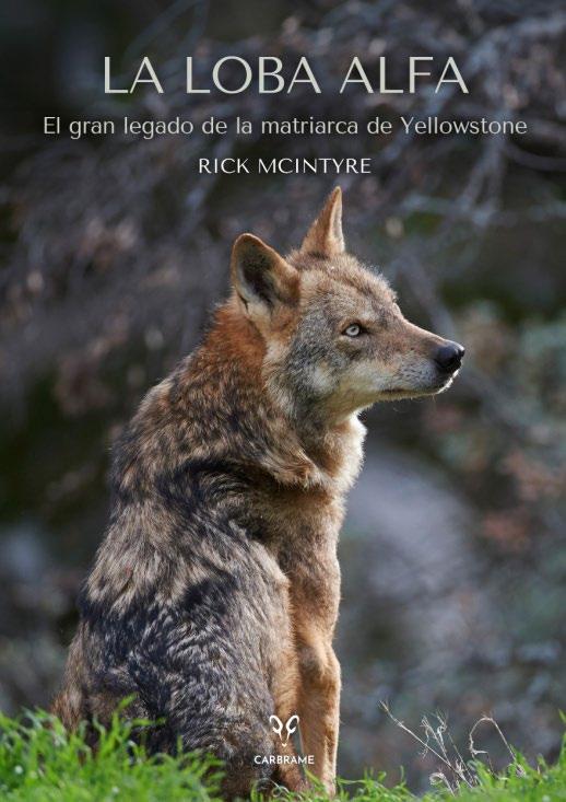 LA LOBA ALFA "EL GRAN LEGADO DE LA MATRIARCA DE YELLOWSTONE"