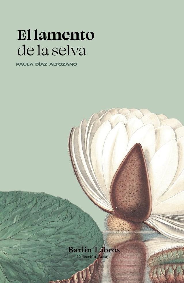 El Lamento de la Selva  "Un Ensayo desde la Ciudad Gris al Río de las Amazonas "