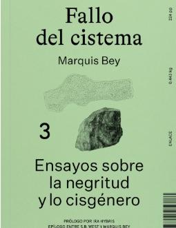 Fallo del cistema