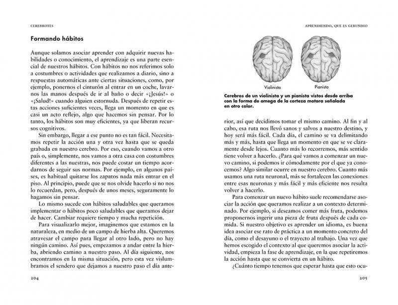 Cerebrotes "Cultiva y Moldea tu Cerebro Gracias a la Neuroplasticidad"
