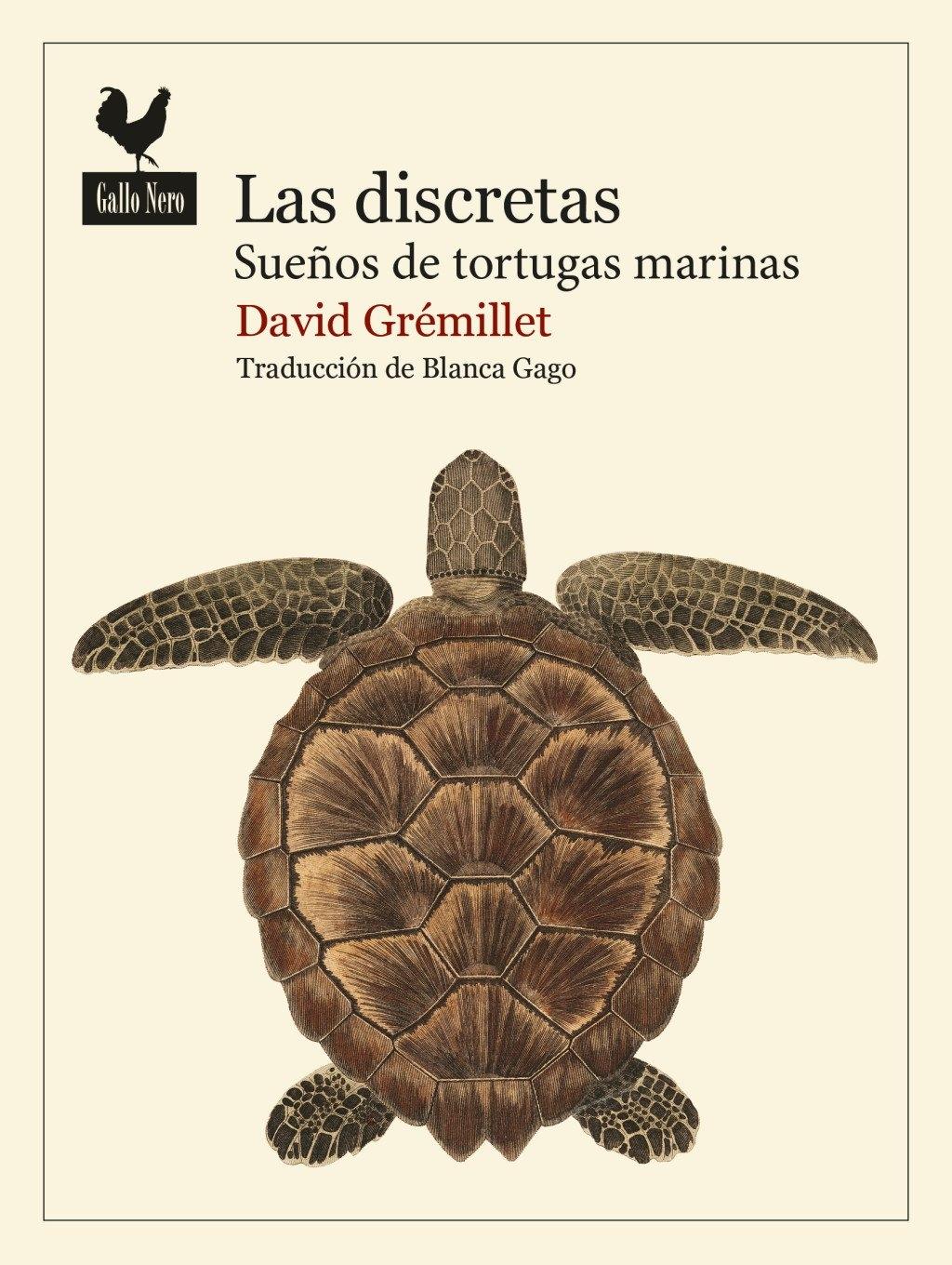 Las discretas "Sueños de tortugas marinas"