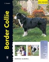 Border Collie (Excellence). 